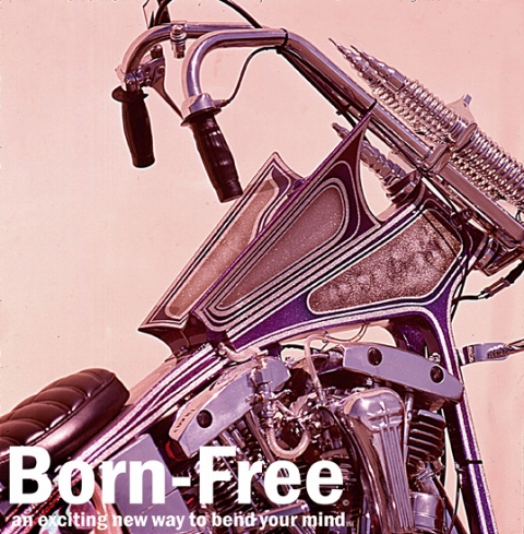 Born-Free